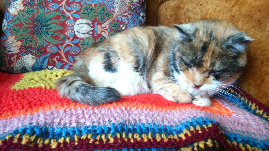 How to Straighten Unravelled Yarn: Image of my cat on crochet blanket made with unravelled yarn