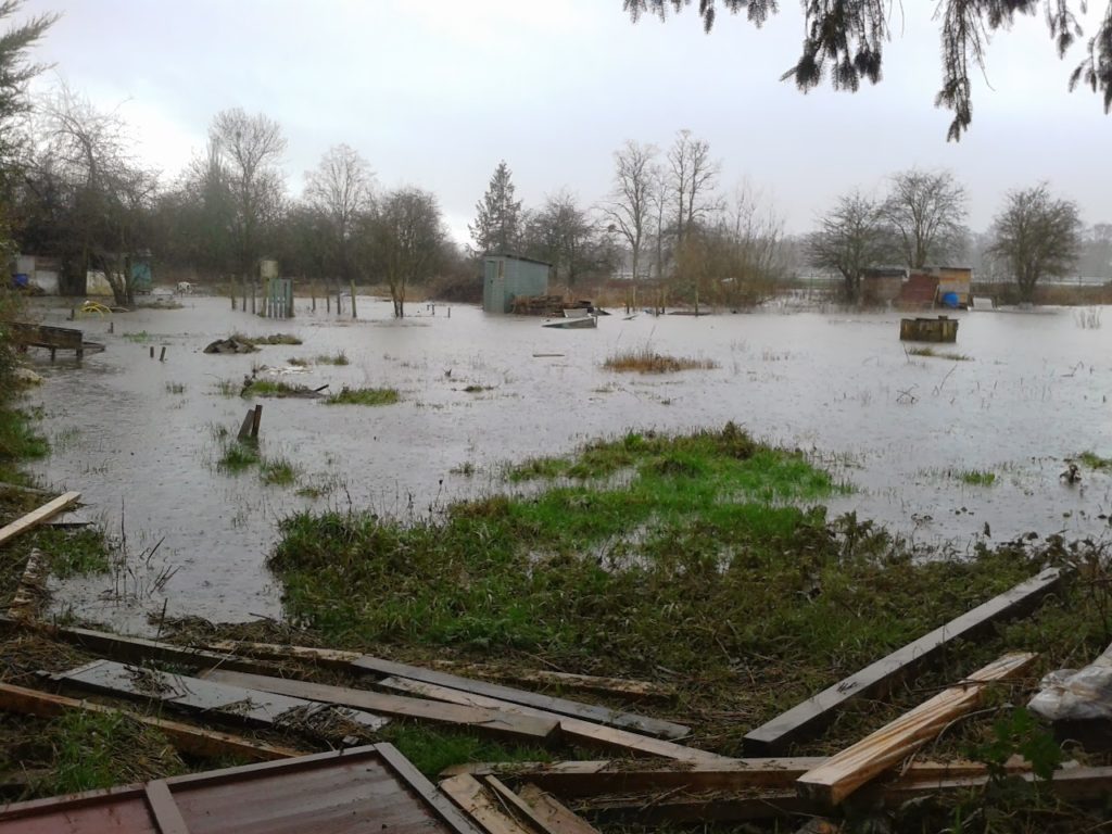 Spinning and Watching the Water Levels Fall: image of flooded allotment site
