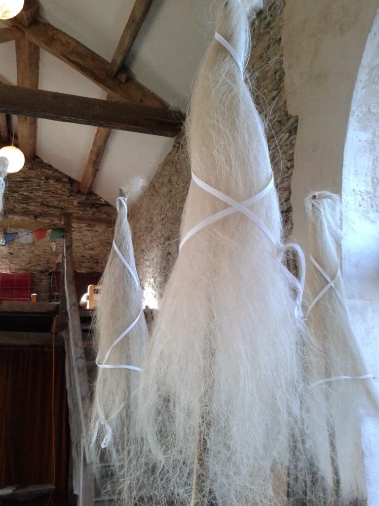 Warp-weighted Loom weaving: Image of flax fibres on a distaff