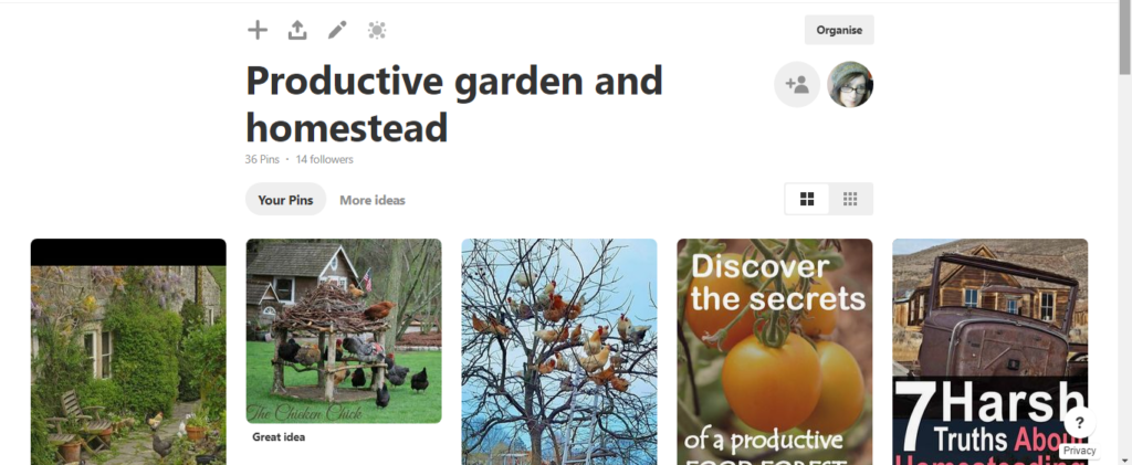 Image of Liz Pearson Mann Productive garden and homestead Pinterest board