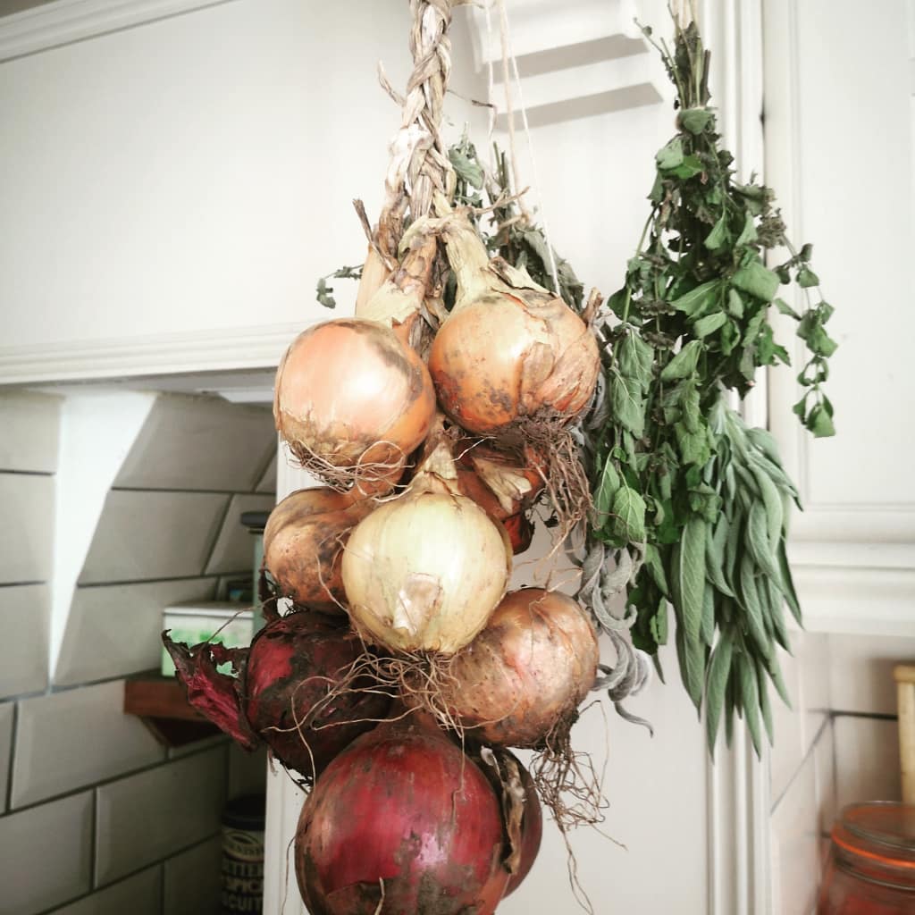 Onion Layers of Certainty: Image of onions strung up on a hook. Onions are used to explain a way of assessing how certain you are about some information - which layer of cetainty does it sit within? Is the layer close to the core (certain), in the outer layers (uncertain)?